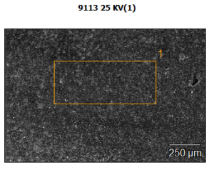 ingrandimento SEM 250 micron